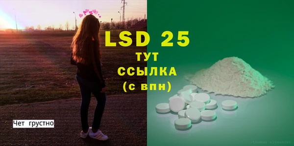 прущие грибы Аркадак