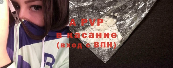 прущие грибы Аркадак