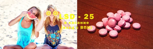 прущие грибы Аркадак