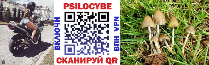 Галлюциногенные грибы GOLDEN TEACHER  что такое   Верхоянск 